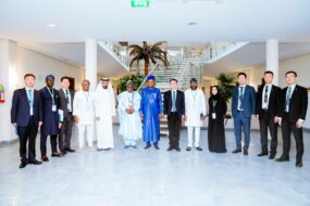 Vice President Kashim Shettima