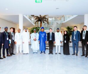 Vice President Kashim Shettima