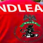 NDLEA