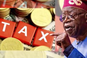 tax, Tinubu