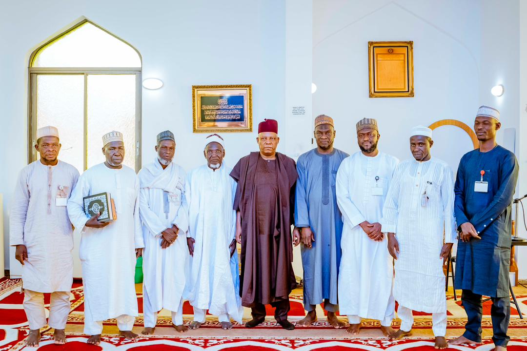 Vice President Kashim Shettima