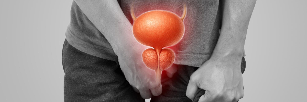 prostate
