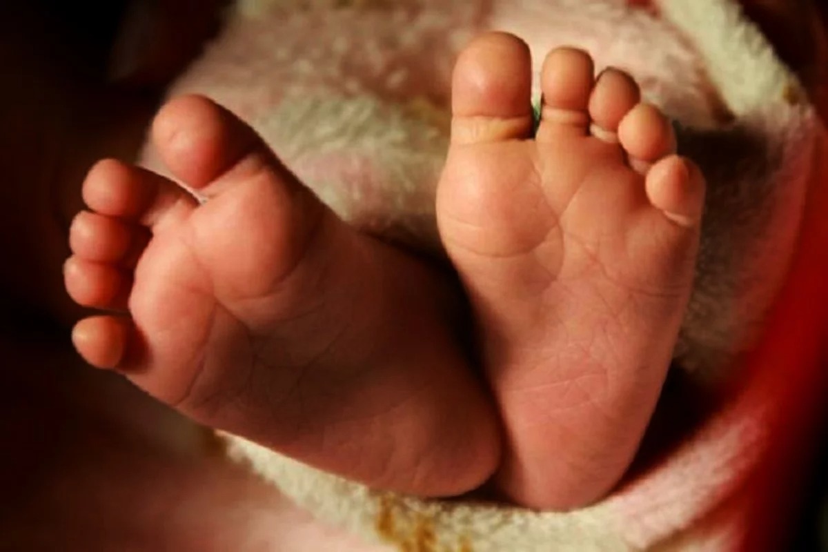 newborn