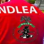 NDLEA