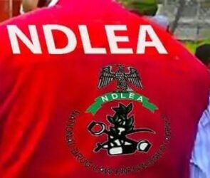 NDLEA
