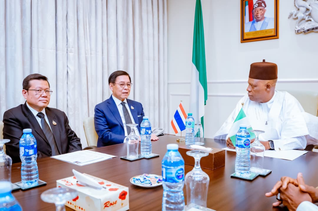 Vice President Kashim Shettima