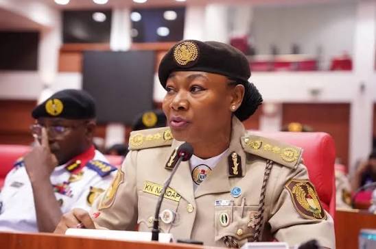 Nigeria Immigration Service NIS