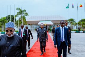 Vice President Kashim Shettima
