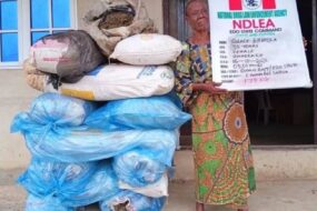 NDLEA
