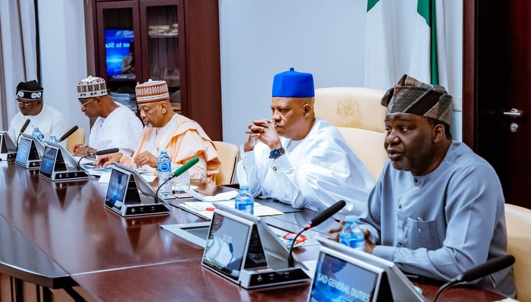 Vice President Kashim Shettima