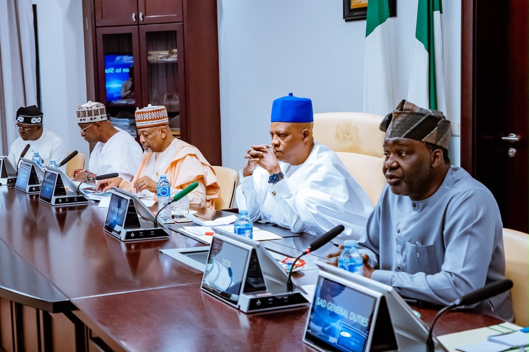 Vice President Kashim Shettima