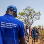Food and Agriculture Organization of the United Nations, FAO