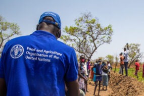 Food and Agriculture Organization of the United Nations, FAO