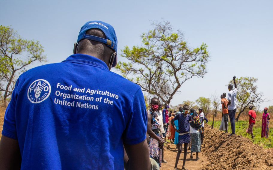 Food and Agriculture Organization of the United Nations, FAO